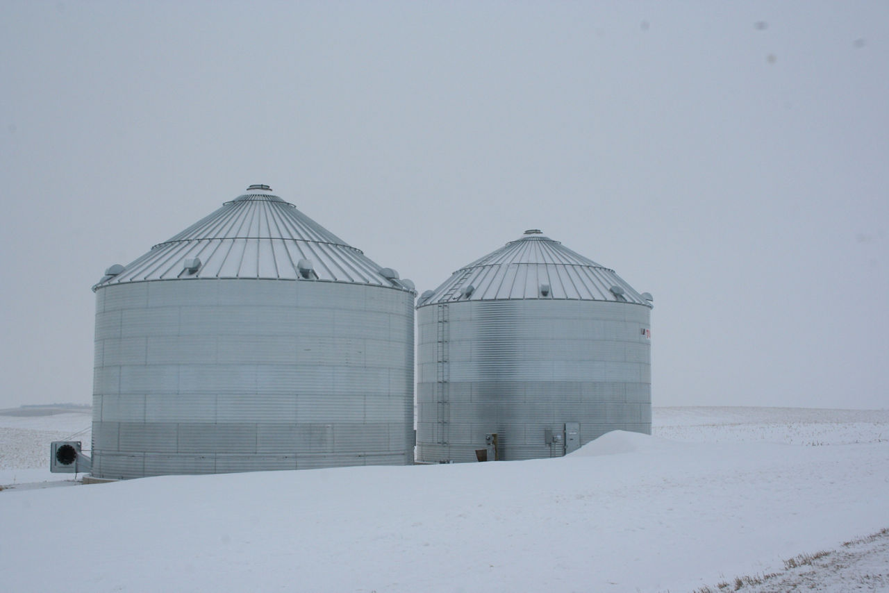 Storage Grain Bins