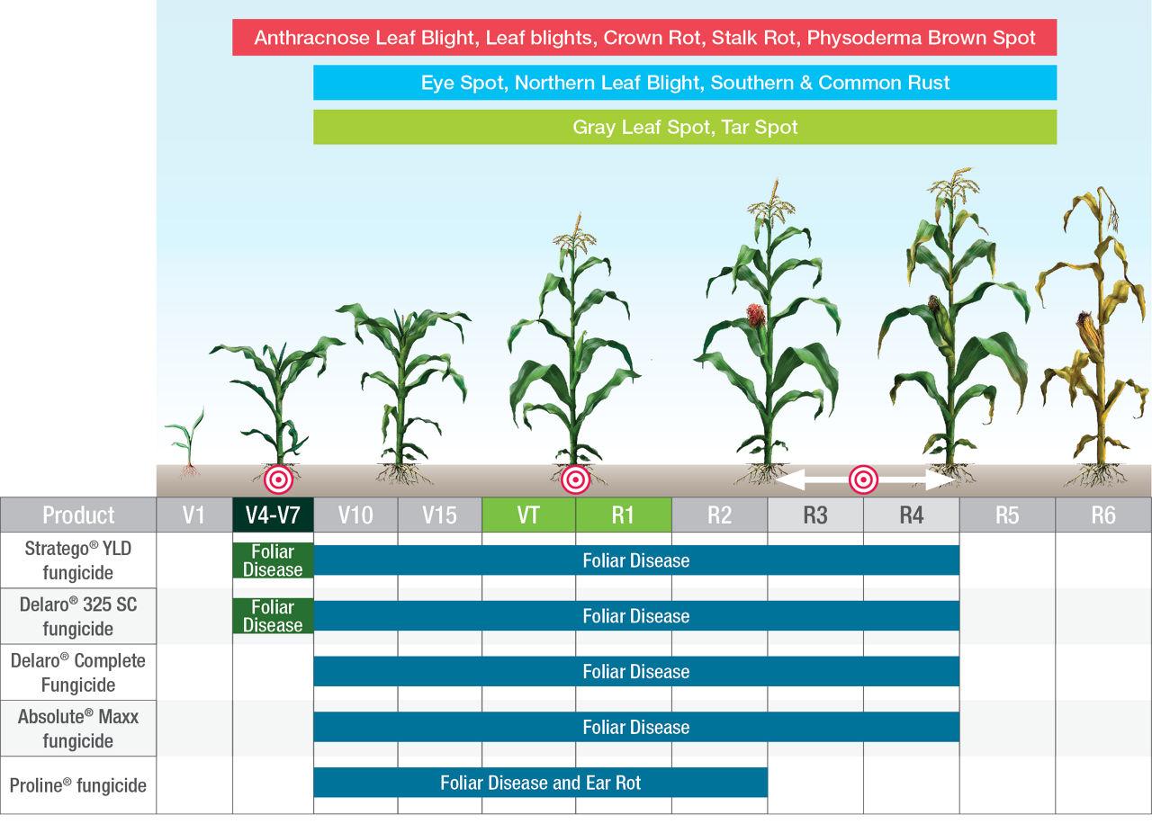 Foliar diseases delineated across V1 and R6 growth stages to target Stratego YLD, Absolute Maxx, Proline, and Delaro fungicide applications. 
