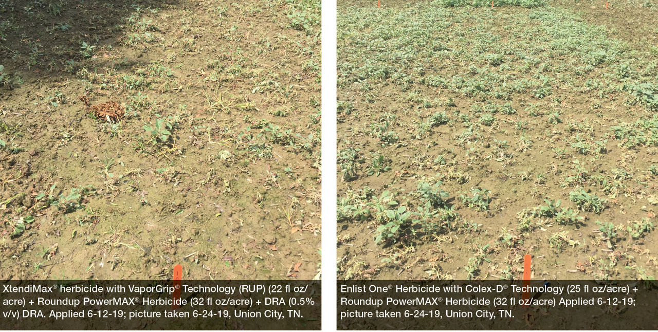 Using XtendiMax® herbicide with Technology, a Restricted Use
