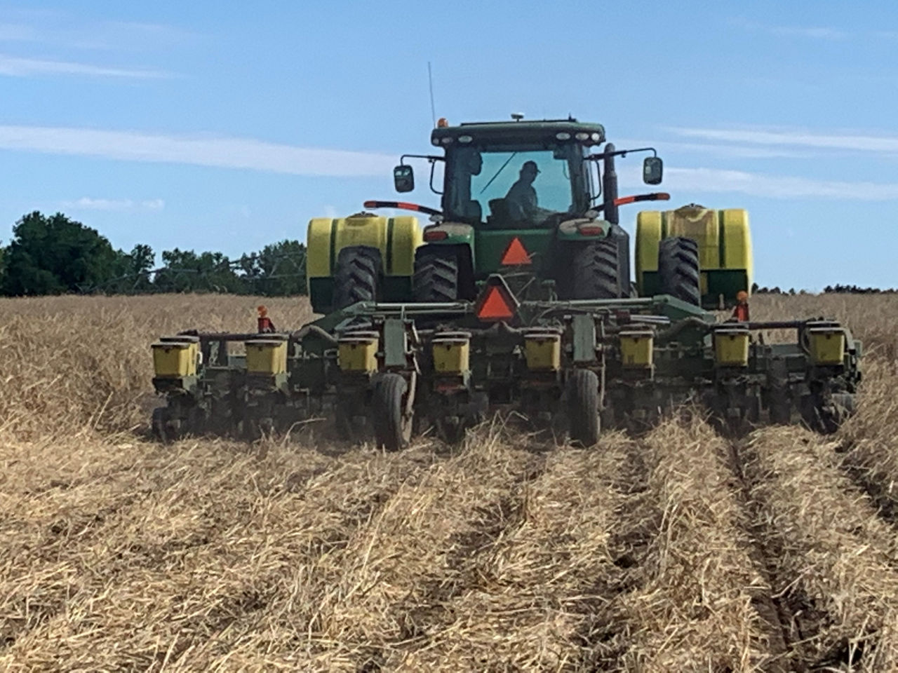 Strip-till planting cotton into a terminated rye cover. 