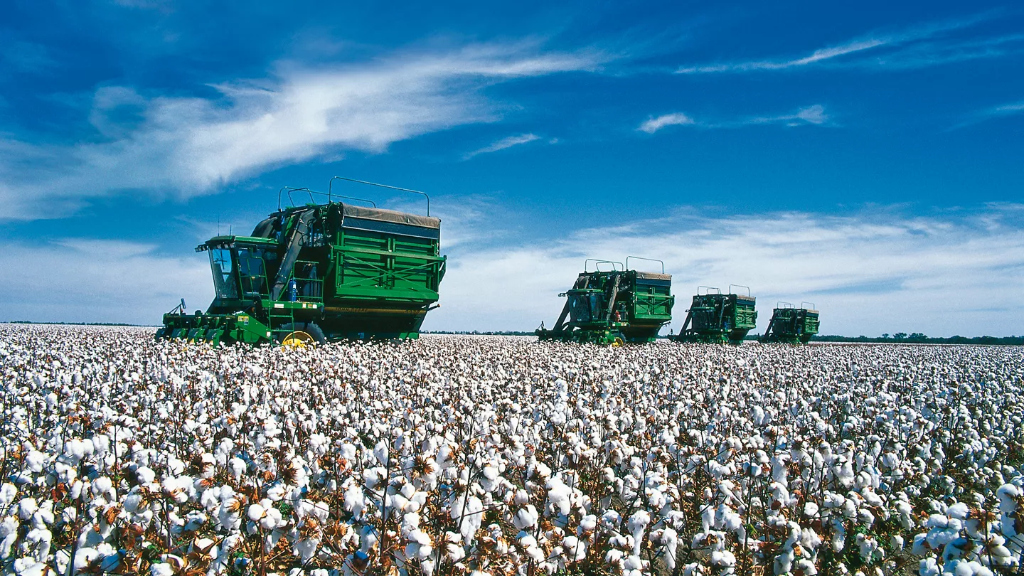 Cotton Harvest Aid Application and Timing