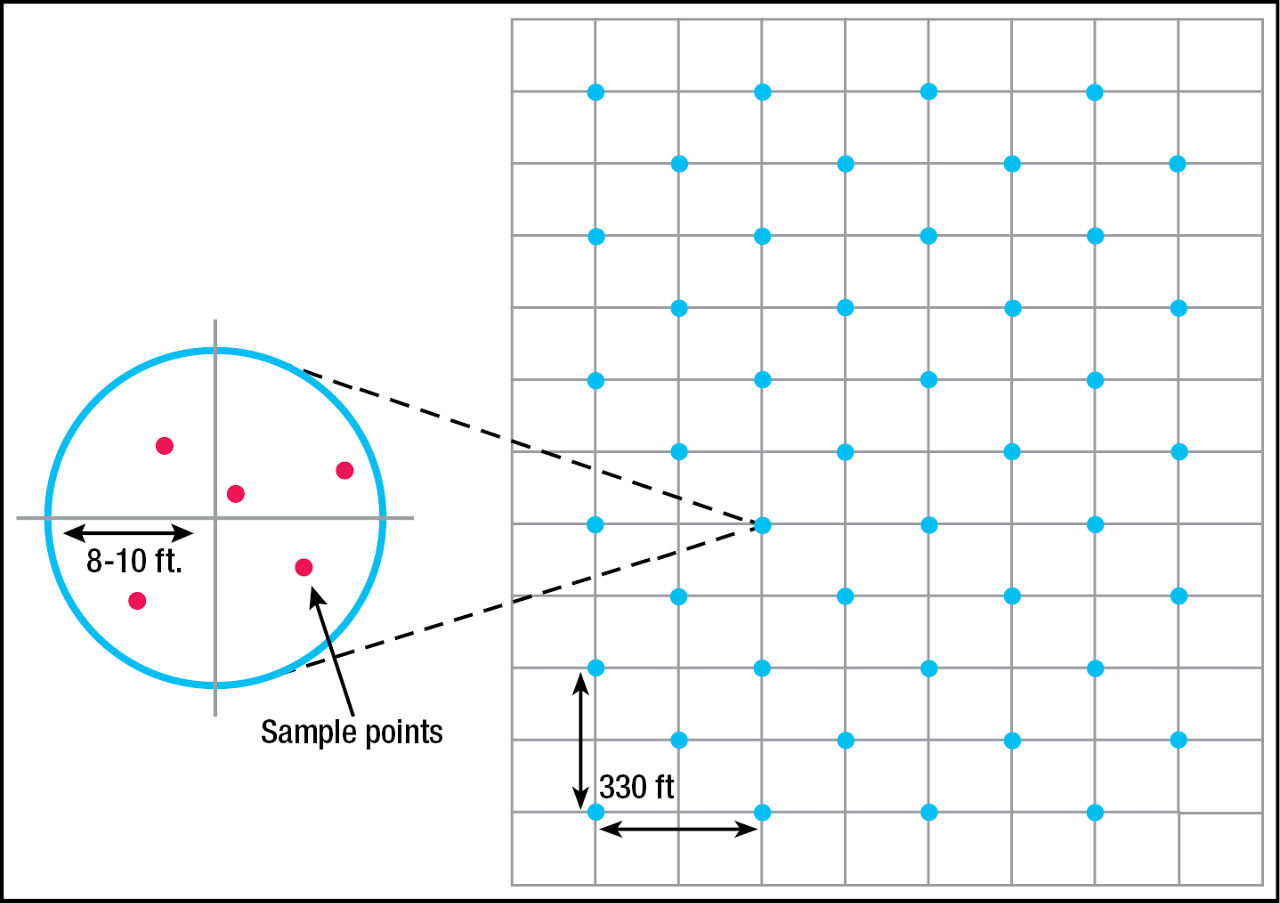 Example of a sampling pattern based on 2.5-acre grids. Blue markers are grid intersections to sample; red markers represent soil cores collected randomly about the grid point for compositing into one sample for analysis. This example represents an area of 110 acres with a total of 44 soil samples, each composited from five cores. 