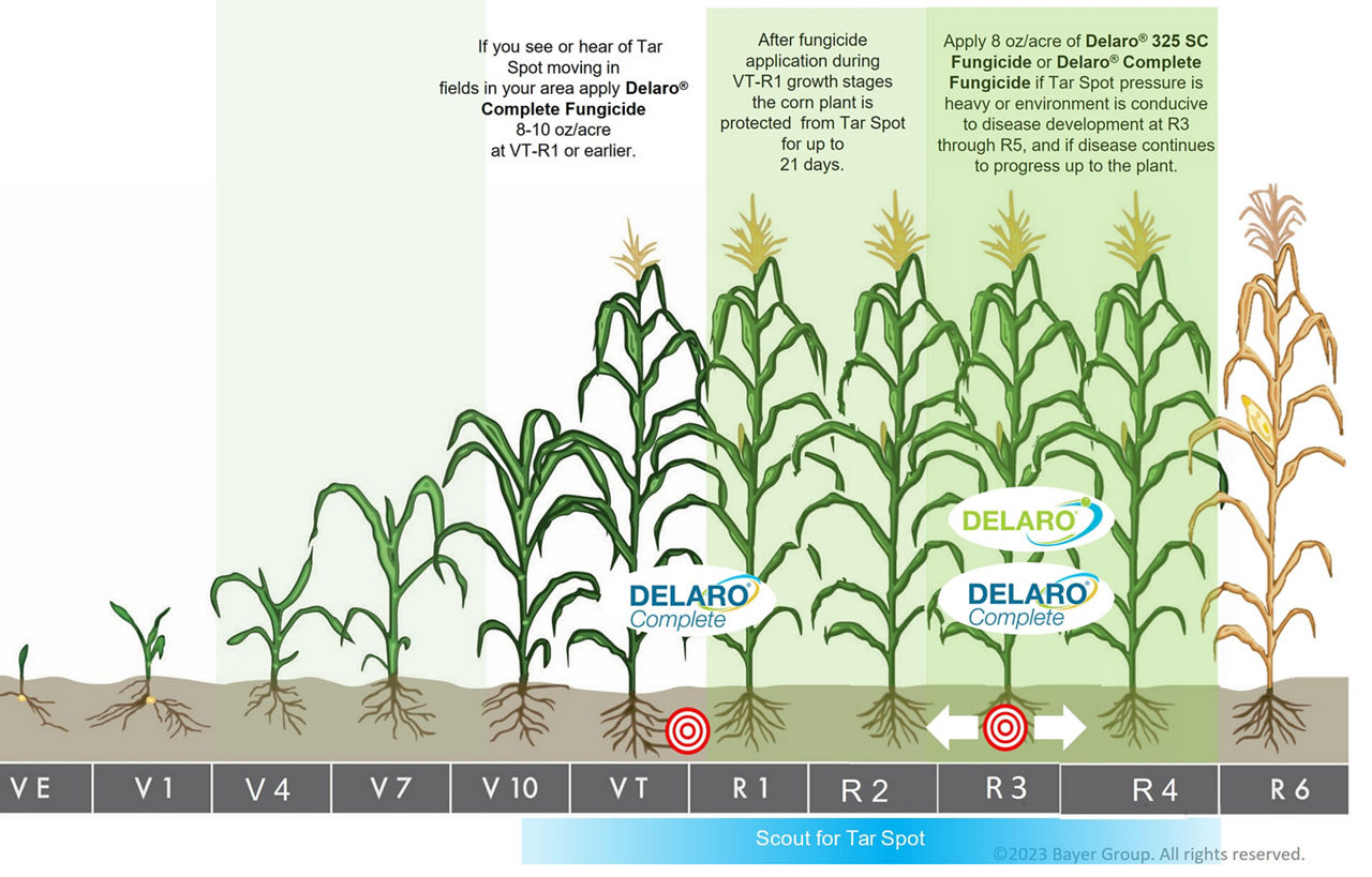 Corn growth stages from emergence to maturity with application timings highlighted for Delaro® Complete Fungicide and Delaro® 325 SC Fungicide.