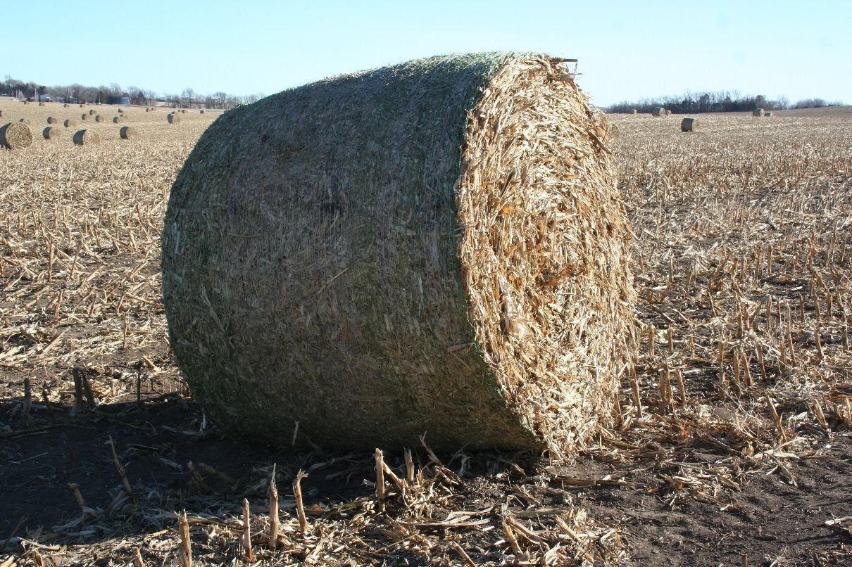 Baled corn residue