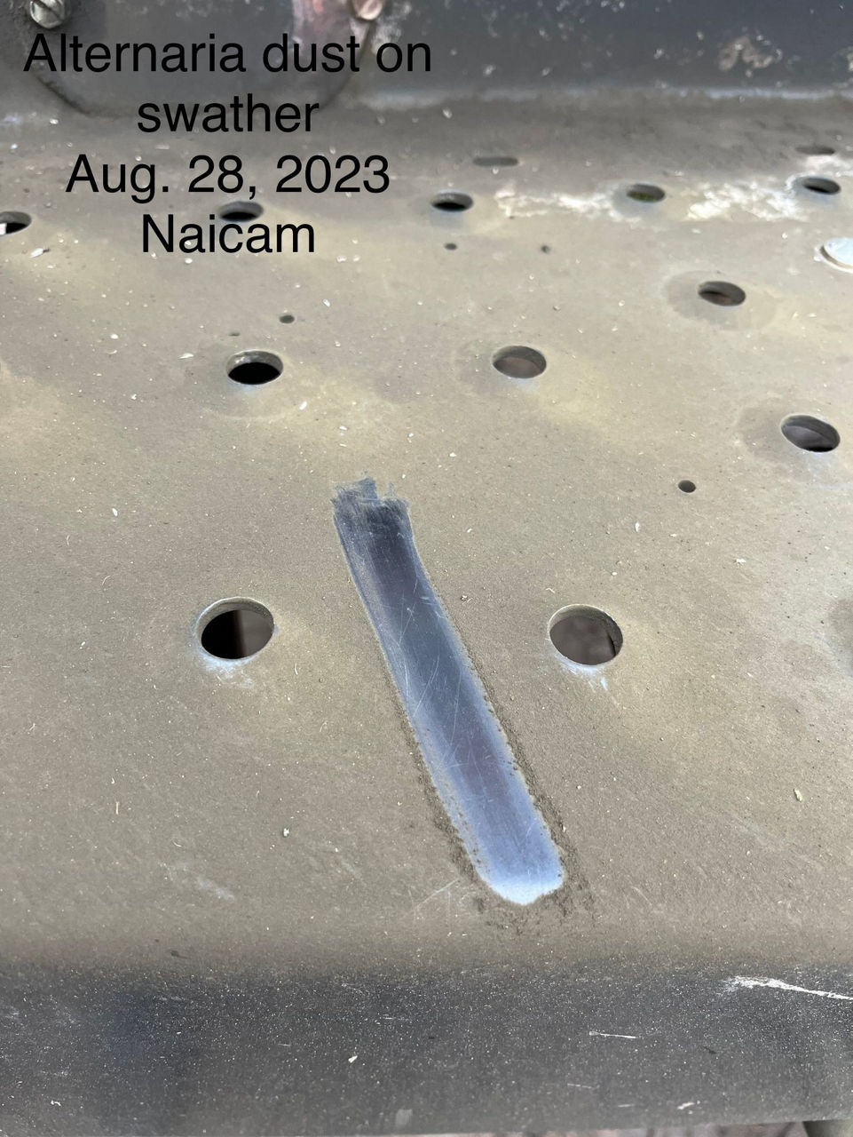 Alternaria black spot dust settled onto a grower’s equipment at time of harvest. 
