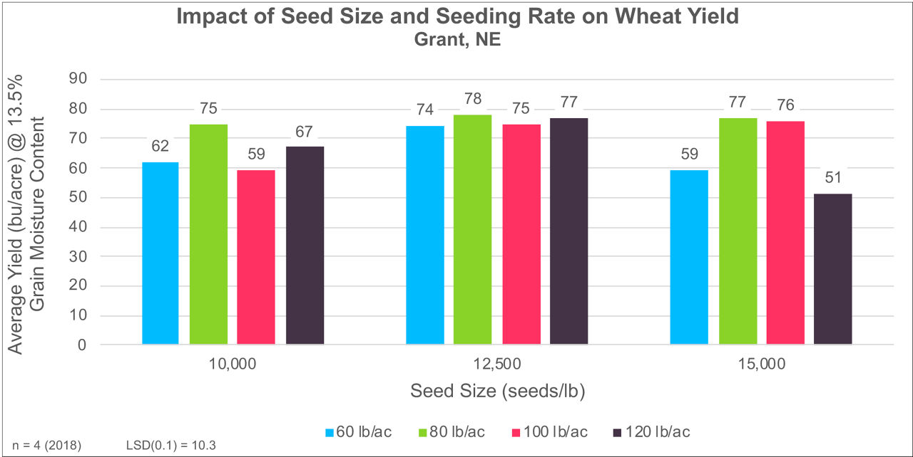 The impact of seeding rate on the average grain yield of WestBred® brand WB4458 wheat in a 2018 trial conducted at Gothenburg, NE. 