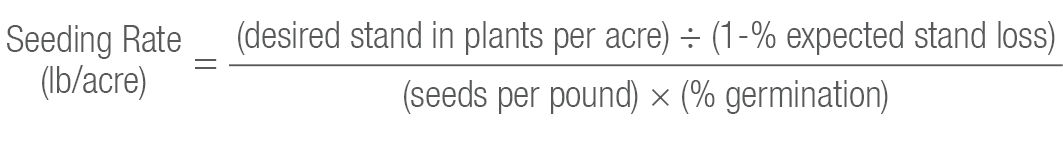 Seeding Rate