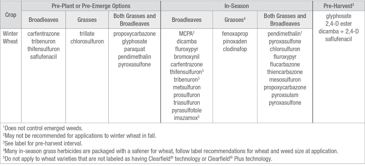 Herbicide active ingredients options for PRE and POST timing in winter wheat. 