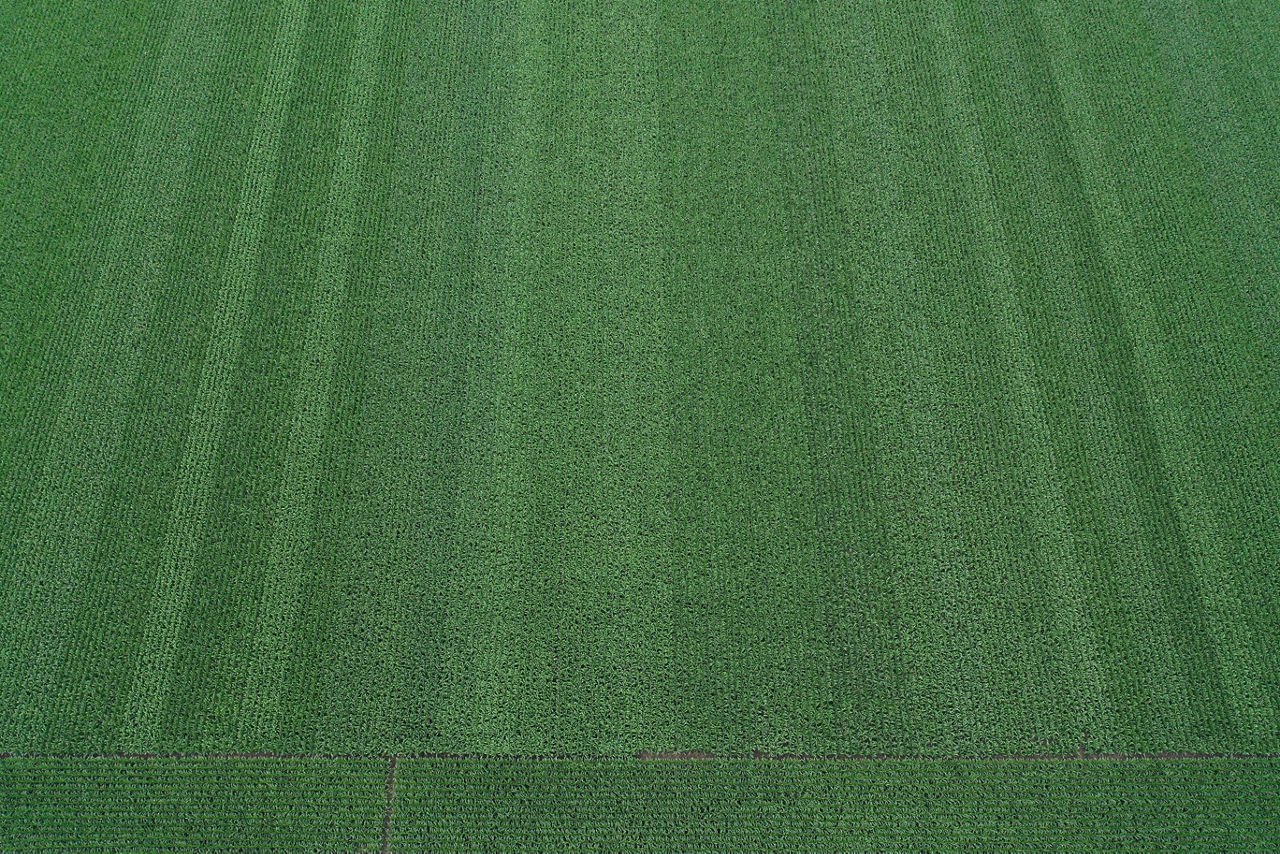 Figure 1. Aerial image of a corn plot. Each product has its own unique offensive capabilities and defensive characteristics. The art is identifying the products that best fit each farmer’s needs. 