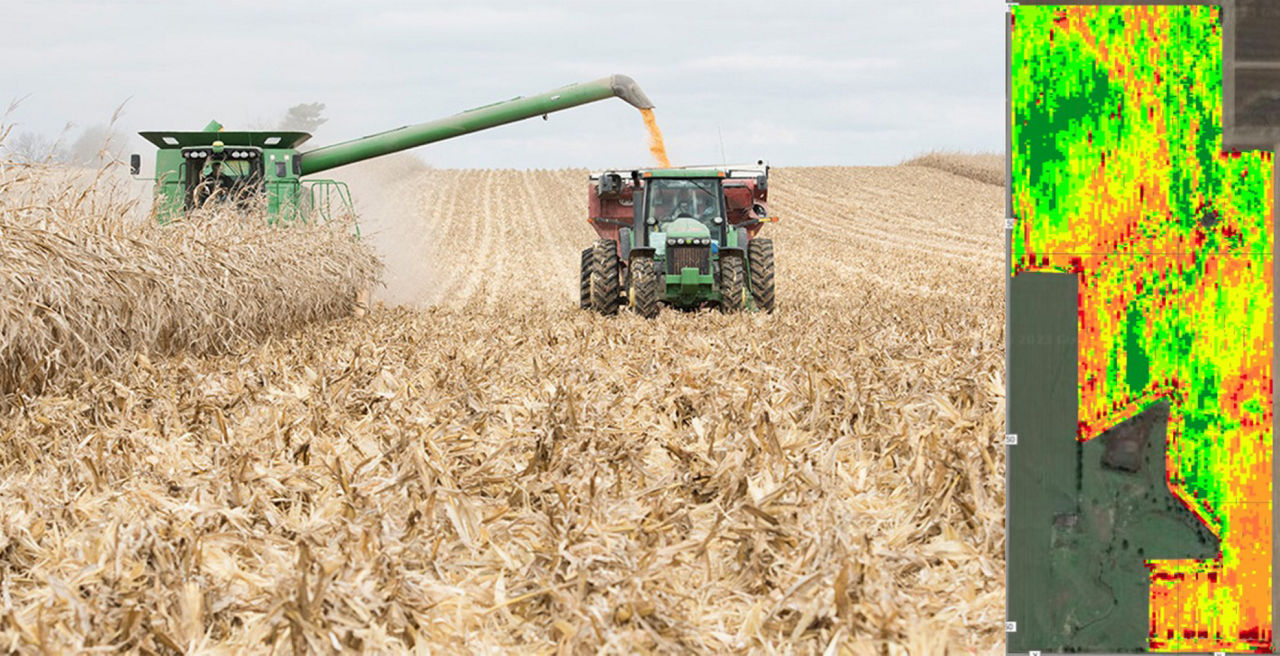 Combine harvesting and unloading corn into grain wagon.