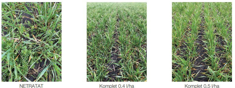 comparison of different weed treatment with komplet