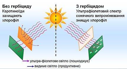 Laudis_CP_PDP_image_1.jpg