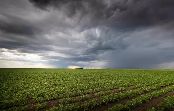 Previsão das condições climáticas é aliada da agricultura