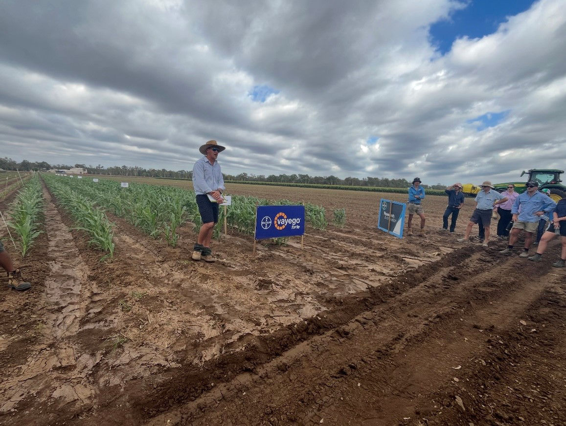 Richard Jackman discussing Vayego Forte on FAW in Corn and Sorghum