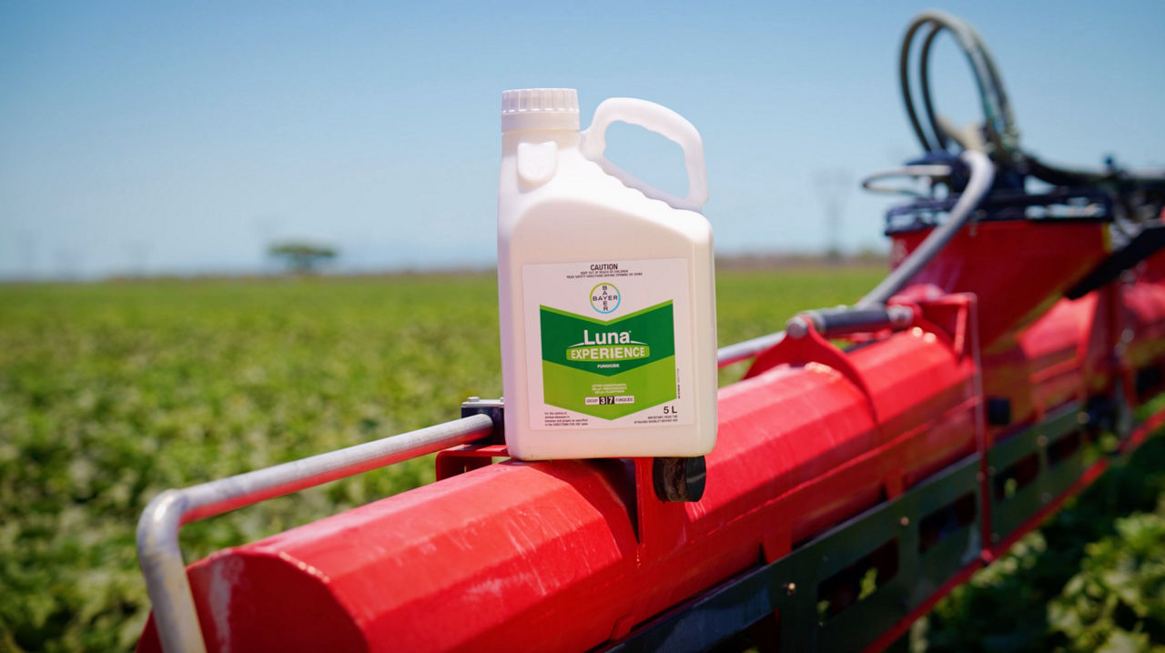 Luna Experience Clare NQ Product Image