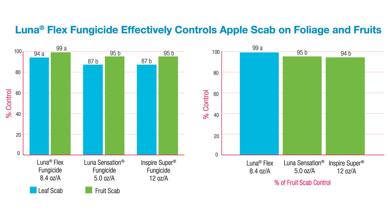 APPLES 