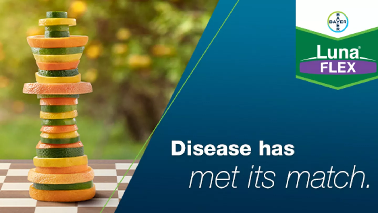 Control the Outcome with Luna® Flex Fungicide in Your Citrus Groves
