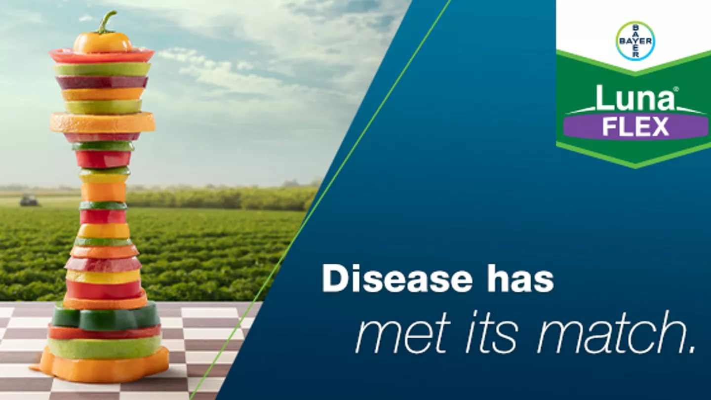 Open the Game Board with a Flexible Strategy from Luna® Flex Fungicide