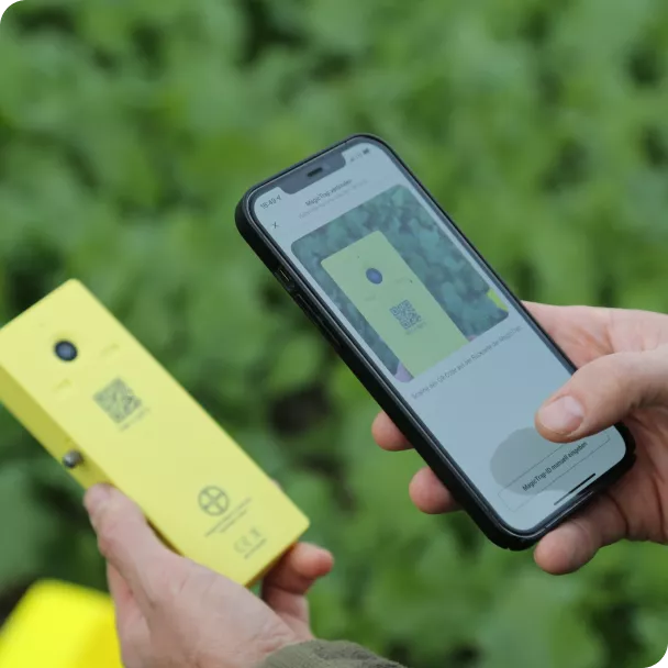 Yellow device being scanned via phone on the field