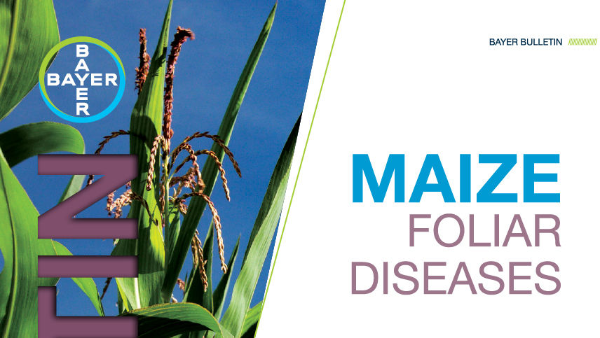 Foliar Diseases