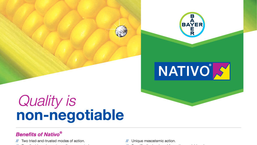 Nativo®