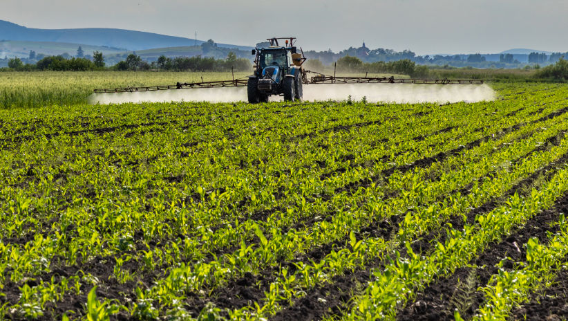 Maize Weed Spray Programme 