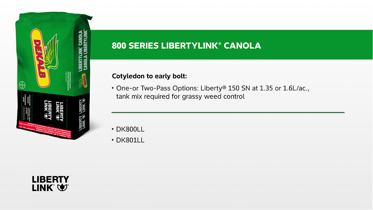 Graphic showing a green DEKALB-branded bag of canola seed on the left with a heading on the right that reads '800 Series LibertyLink® Canola.' Below, text states 'Cotyledon to early bolt:' followed by a bullet point: 'One- or Two-Pass Options: Liberty® 150 SN at 1.35 or 1.6 L/ac., tank mix required for grassy weed control.' Additional bullet points list 'DK800LL' and 'DK801LL.' A LibertyLink logo appears in the bottom left corner.