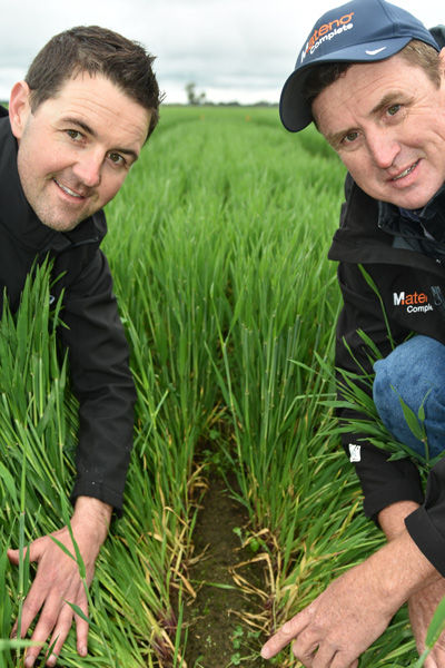 Mateno Complete Herbicide performance in barley crops