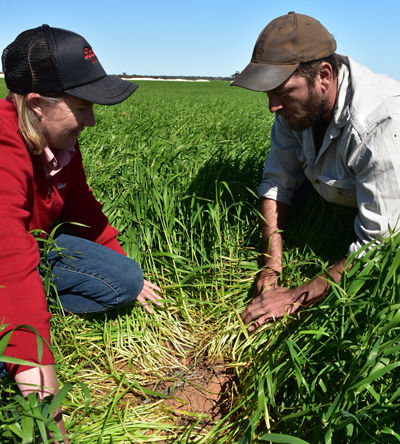 Shannon Meyer, Agronomist with Elders at Coorow in Western Australia