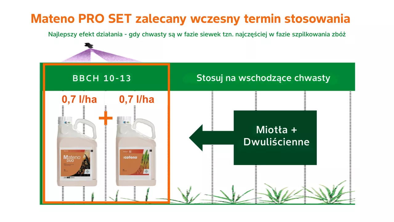 jak dziala mateno pro set