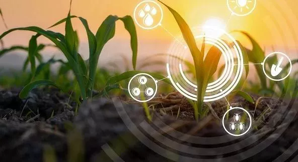 As tecnologias 4.0 passaram a fazer parte da vida no campo
