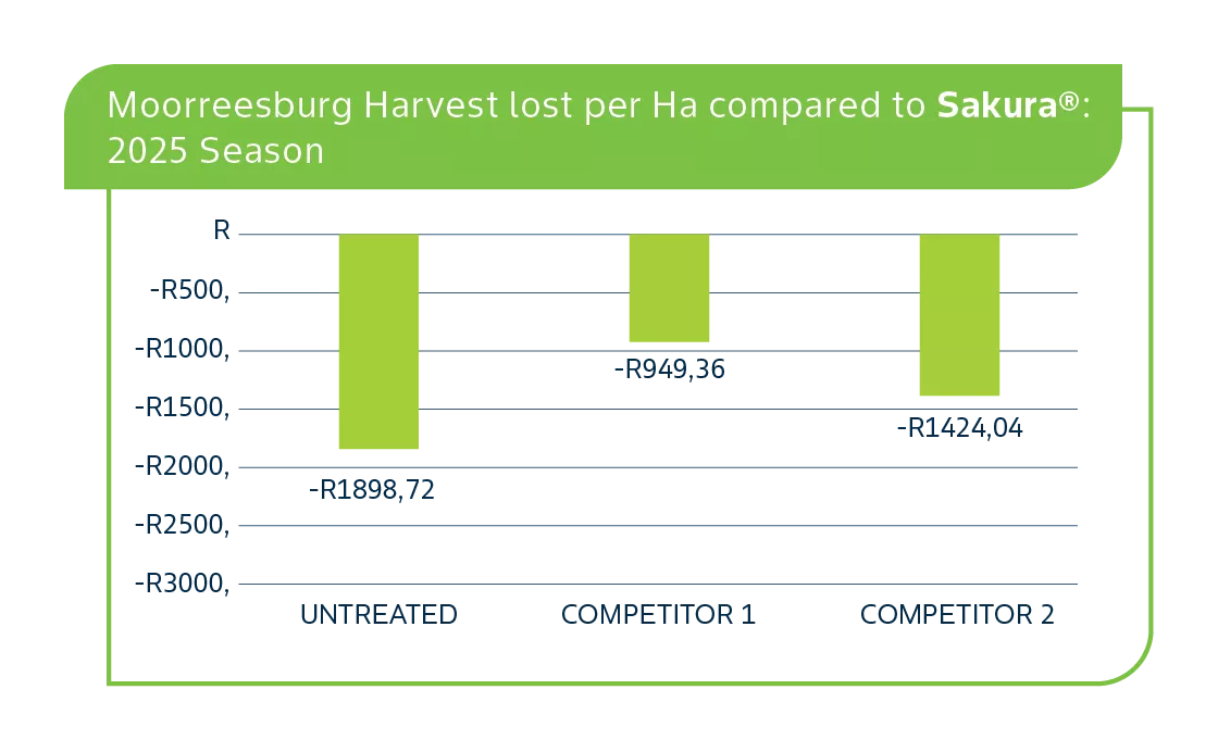 Moorreesburg-Harvest-lost.png