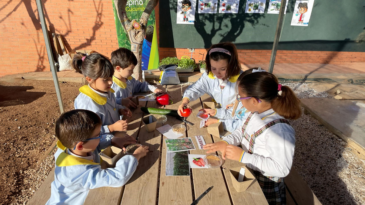 Baylab: Ciencia para Niños Almerienses