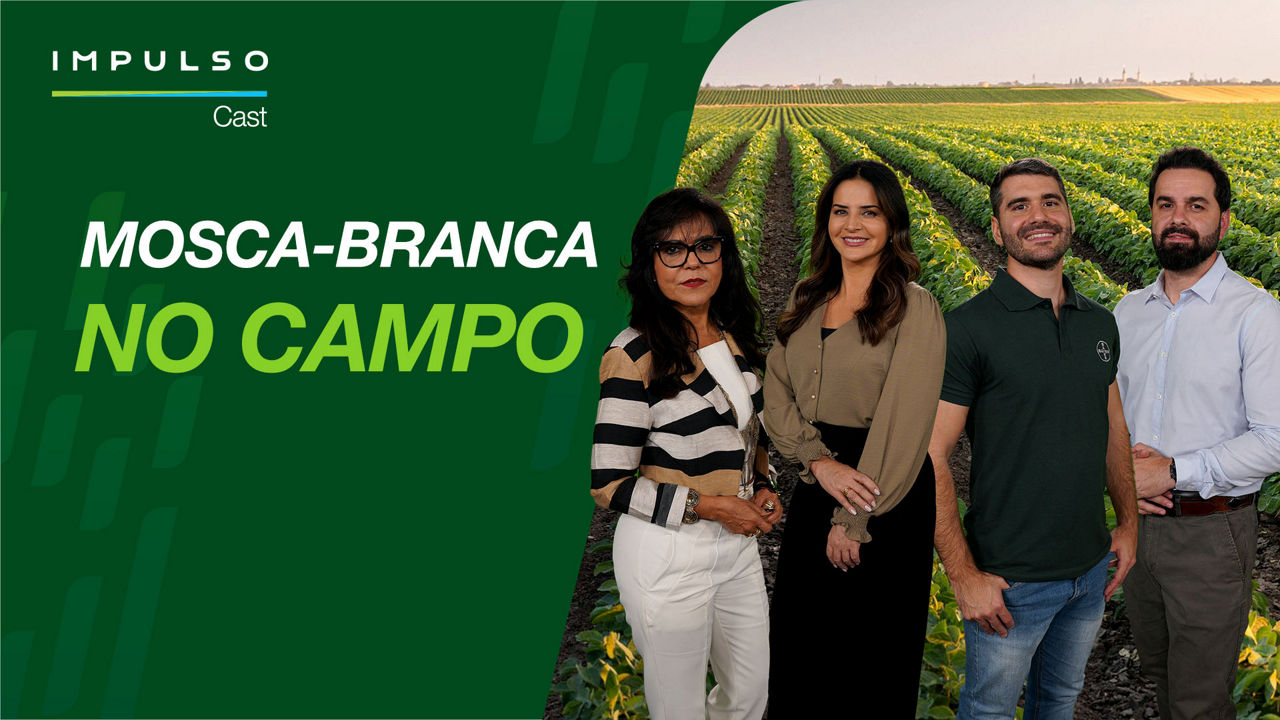 Mosca-branca: novas tecnologias para controle eficiente