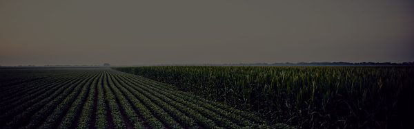 Promotion component background