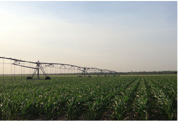 Figure 1. Pivot irrigation systems can be used to distribute liquid manure