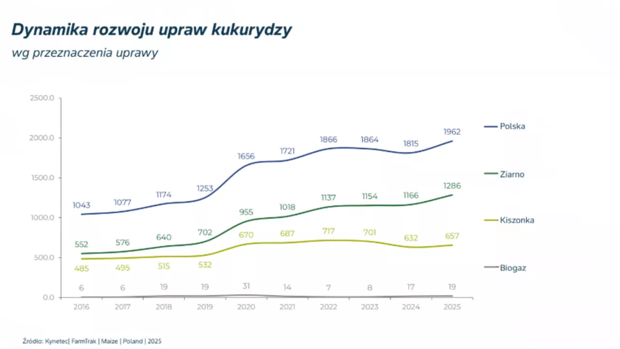 wykres  - dynamika rozwoju uprawy kukurydzy