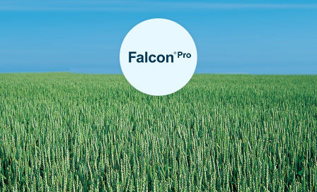 Pachetul Falcon® Pro 