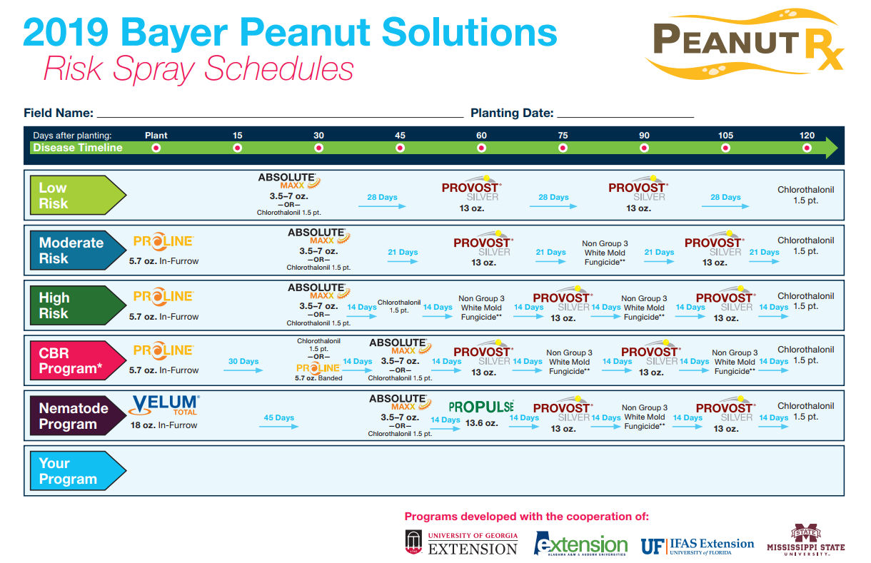 2019 Bayer Peanut Solutions