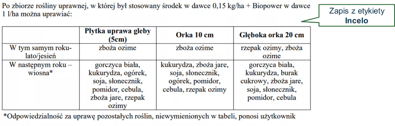 czytanie etykiety - zdjęcie fragmentu