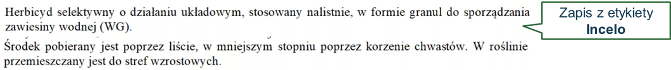 czytanie etykiety - zdjęcie fragmentu