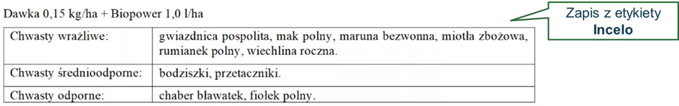 czytanie etykiety - zdjęcie fragmentu