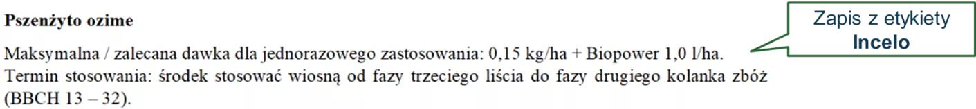 czytanie etykiety - zdjęcie fragmentu