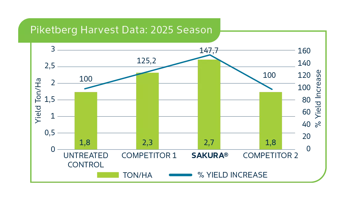 Piketberg-harvest-data.png