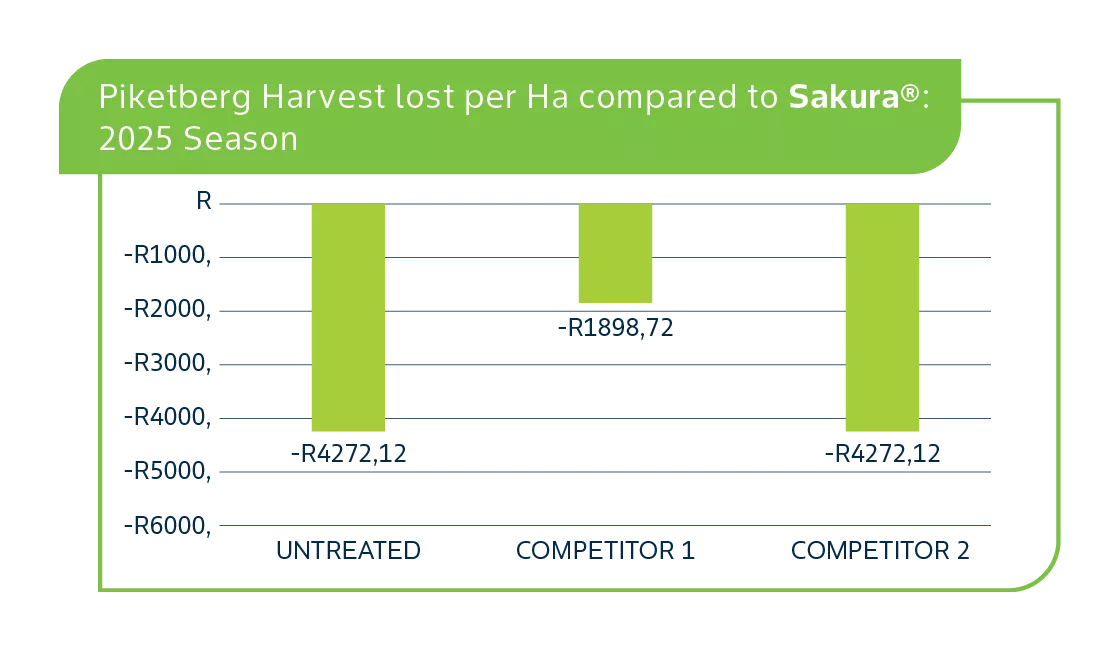 Piketberg-harvest-lost.png