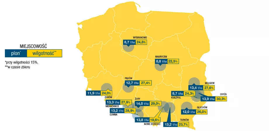 Plonowanie_Odmiany_Kukurydzy_Na_Ziarno_DKC3888_RTEditor.png