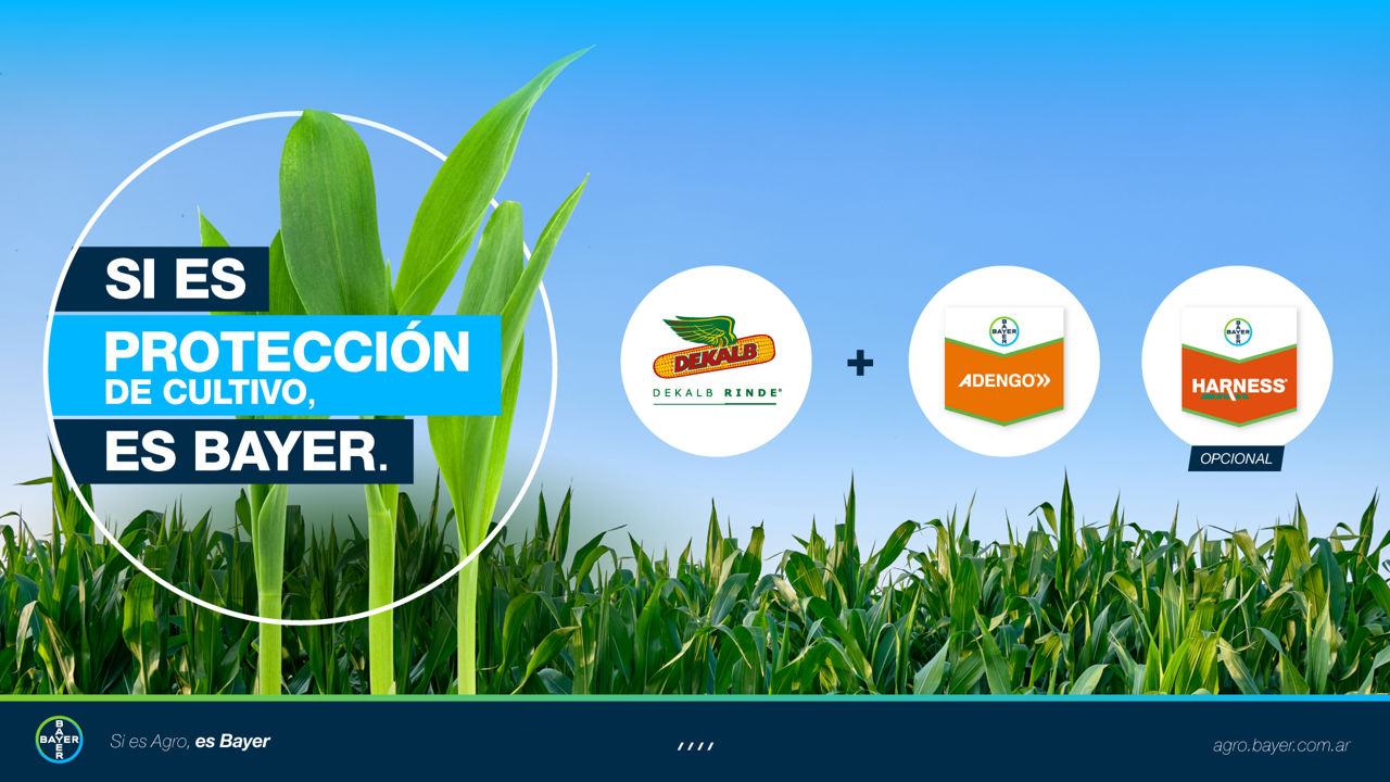 ¡Comprando Dekalb accedés a un descuento sobre la Solución Integrada de Bayer Maíz!