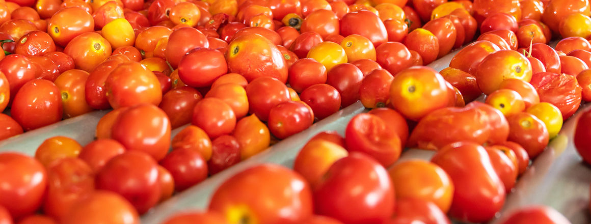 Βιομηχανική Τομάτα