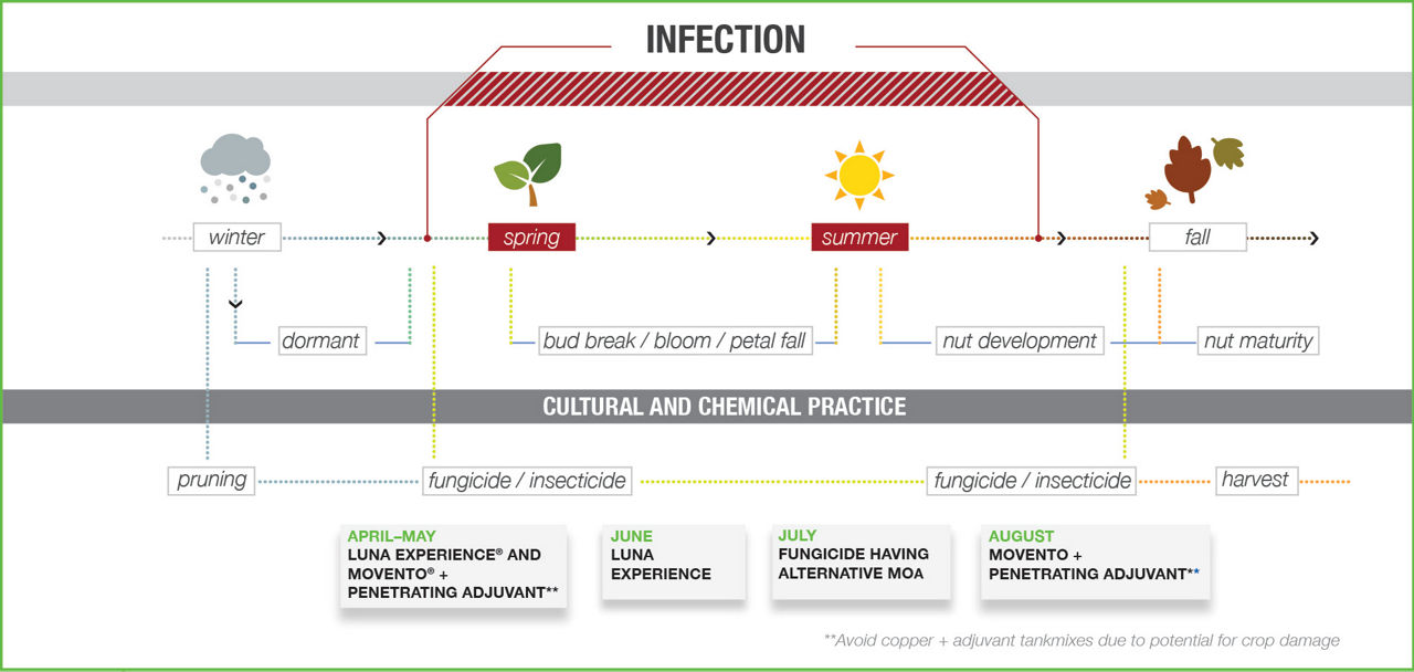 Bayer Walnut Botryosphaeria program