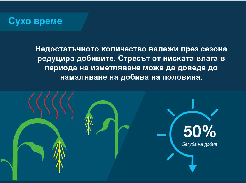 Недостатъчно количество валежи през сезона педуцира добивите до 50%